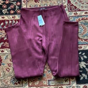Anntaylor xsp